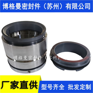双机械密封 S2.100.200.400.4.62L.C.285.G.N.D.511主机机械密封