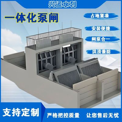 厂家现货一体化泵闸河道污水设备泵双流泵防洪排涝雨污分流截流井