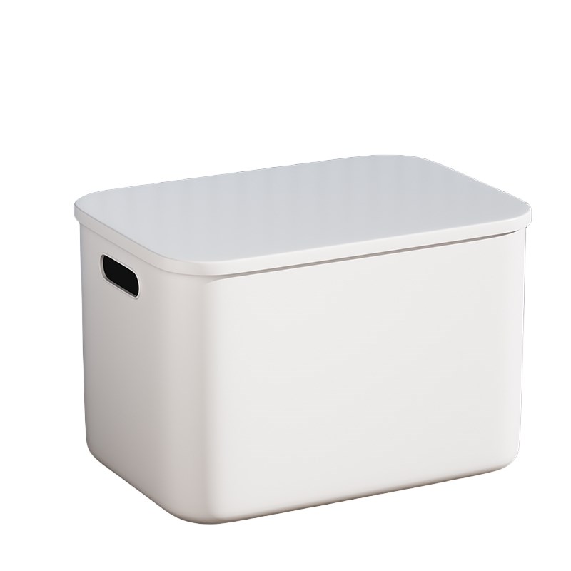 收纳箱长25/37/41塑料储杂物带盖玩具整理18宽26/31盒高9/16/25cm
