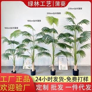 北欧热带加州蒲葵仿真绿植盆栽客厅落地圆叶扇葵树绿植盆景摆件