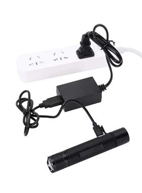 工厂供应SW2103/JW7302A/BAD202E/FD-FBP240/10微型防爆手电筒