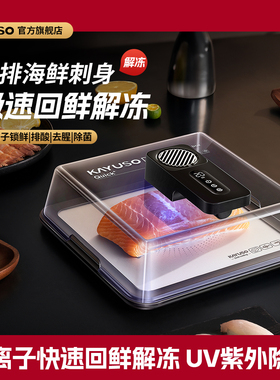 KAYUSO智能极速回鲜解冻器家用厨房食材快速化冰海鲜去腥解冻神器
