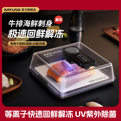 KAYUSO厨房食材解冻去腥回鲜器
