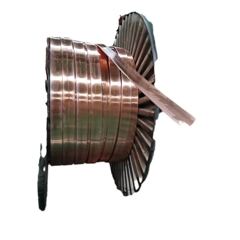 垂直接地极80*8紫铜管水平接地极铜排50*5 40*5 30*4 40*4 30*6TM