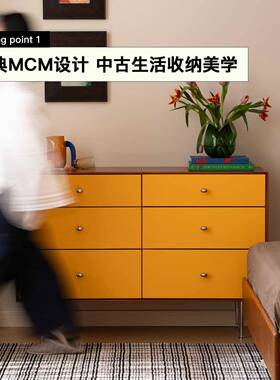 Denmark丹麦 北欧斗柜中古六斗柜储物收纳抽屉复古柜卧室柜床尾柜