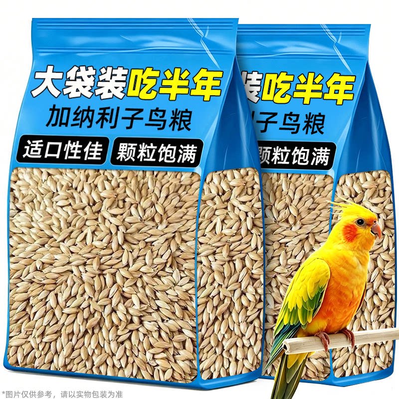 加纳利子鹦鹉粮鸟食适口性佳互动奖励鹦鹉加纳利子鸟粮主粮伴侣图片