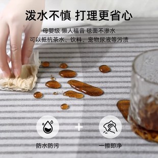 地毯客厅家用轻奢卧室茶几床边毯大面积全铺地垫免洗可擦2024新款
