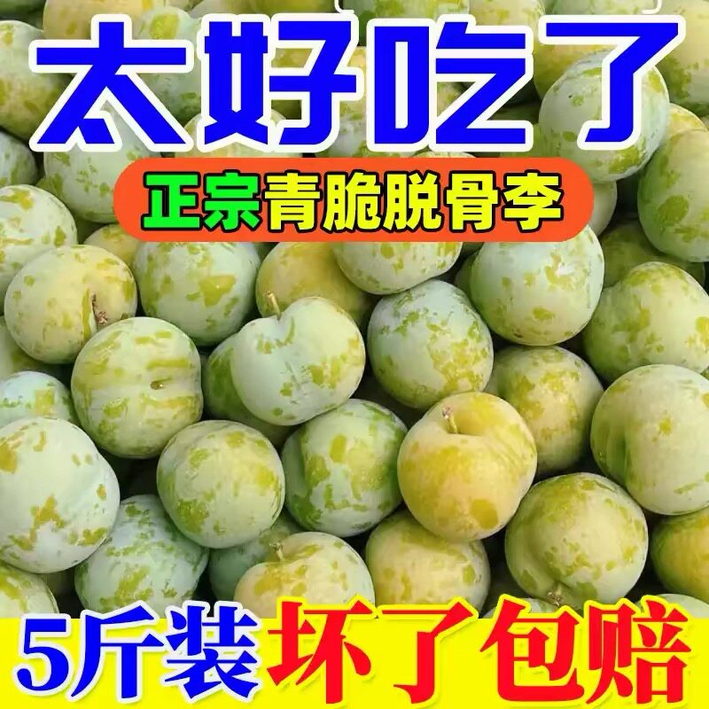 现摘四川脆李脱骨李子5斤新鲜水果当季青脆李整箱四川半边红茵李