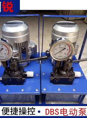 厂家手提式电动液压泵小型电动泵定制DBS系列超高压电动泵