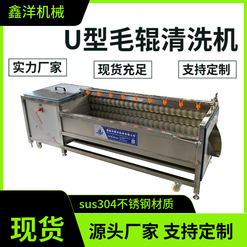 毛辊式香菇脚清洗机 莲藕快速去泥脱皮机 全自动白玉蔗清洗设备