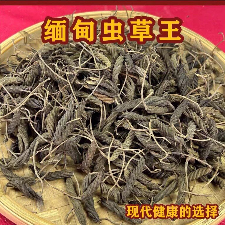 虫草王 黑虫草 野生正品中缅边境山货高海拔采摘