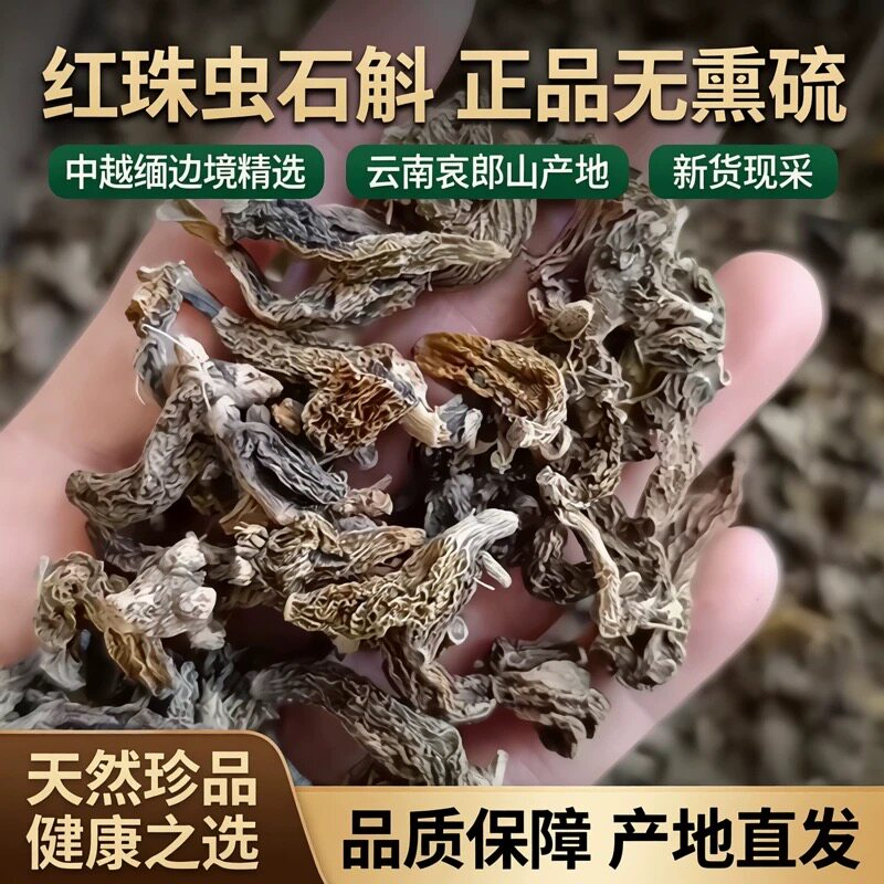 红珠虫石斛 正品无熏硫新货中缅边境云南哀牢山精选精品发货