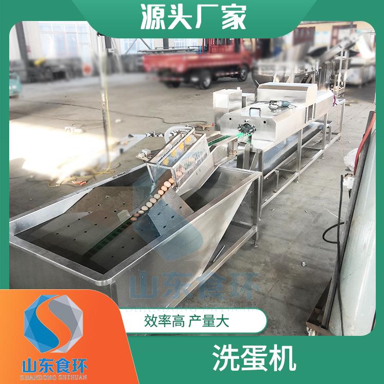 全自动洗蛋机喷油喷码保鲜鸡蛋清洗线溏心蛋清洗机厂家供应