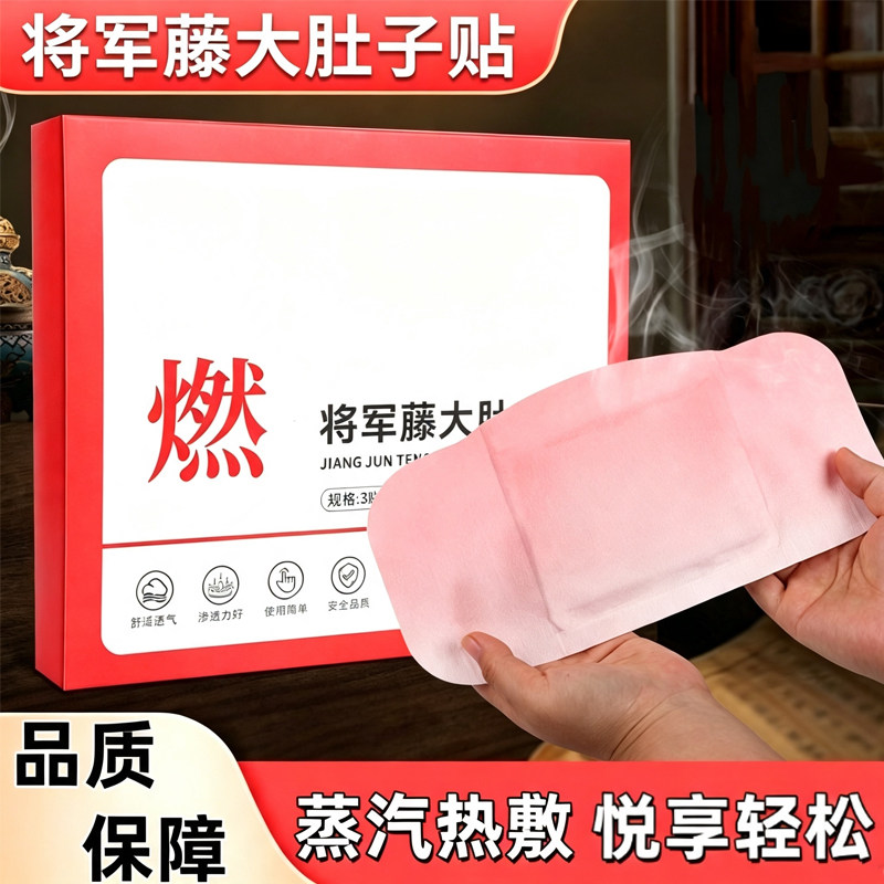 蕲艾蒸汽自发热暖腰暖宫热贴