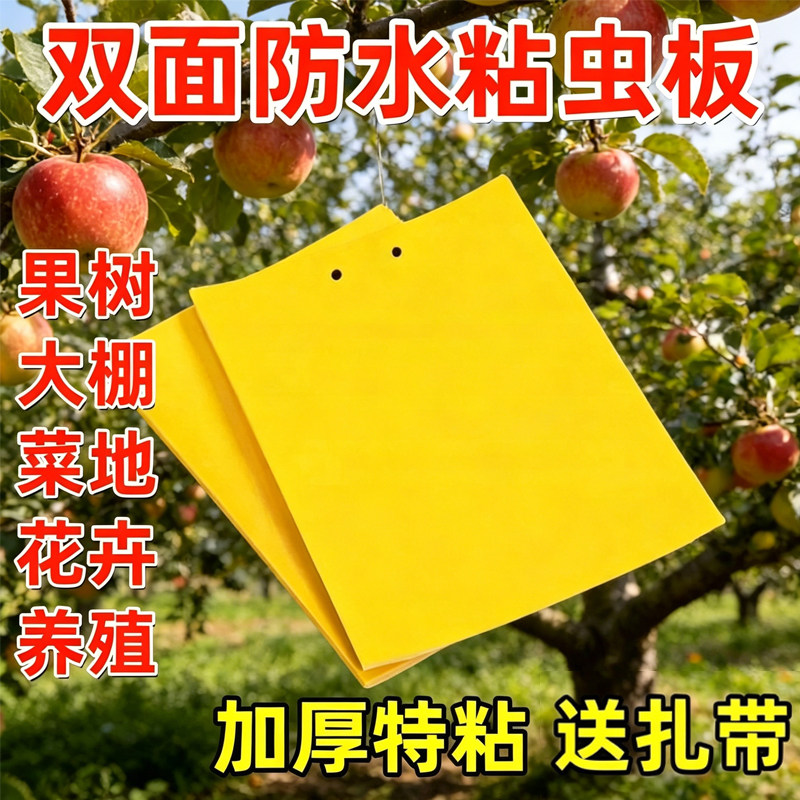 双面黄板粘虫板大棚诱果蝇