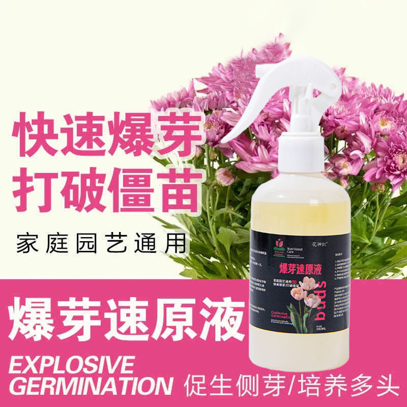 爆芽速原液多芽促芽催芽分化叶