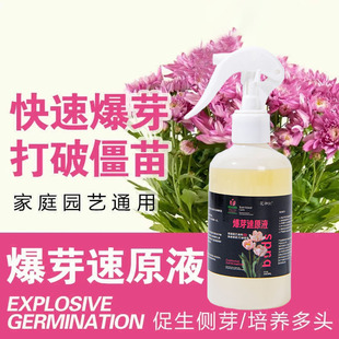 爆芽速原液多芽促芽催芽分化叶插花植物多肉绿植盆栽通用型营养液