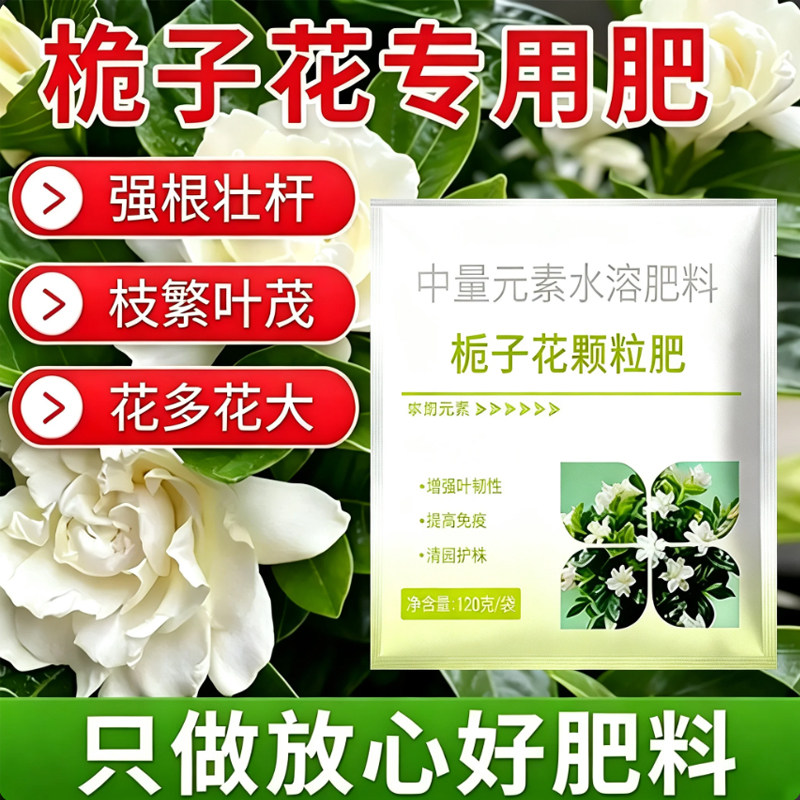 栀子花专用酸性营养液促开花
