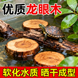 乌龟专用造景缸龙眼木晒台爬坡躲避窝浮萍真水草绿植造景摆件用品
