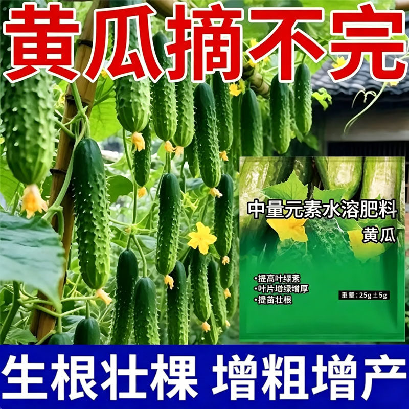 黄瓜专用肥复合肥料菜园绿蔬