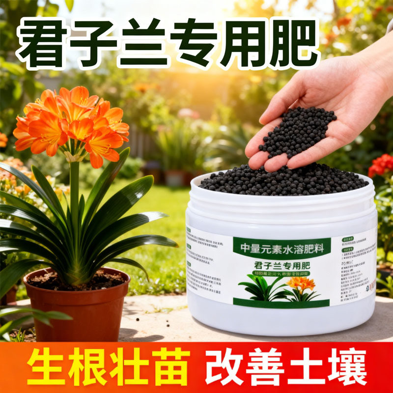 君子兰肥料专用肥促开花营养液水培拔箭催花治黄叶家用花卉盆栽肥