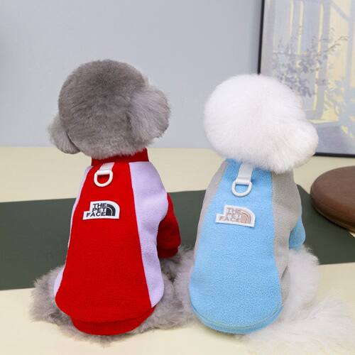 宠物马尔济斯泰迪衣服猫咪衣服