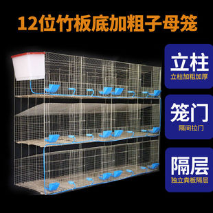 兔子笼自动清粪养殖场专用特大号兔笼子母笼兔笼兔笼子家用大号