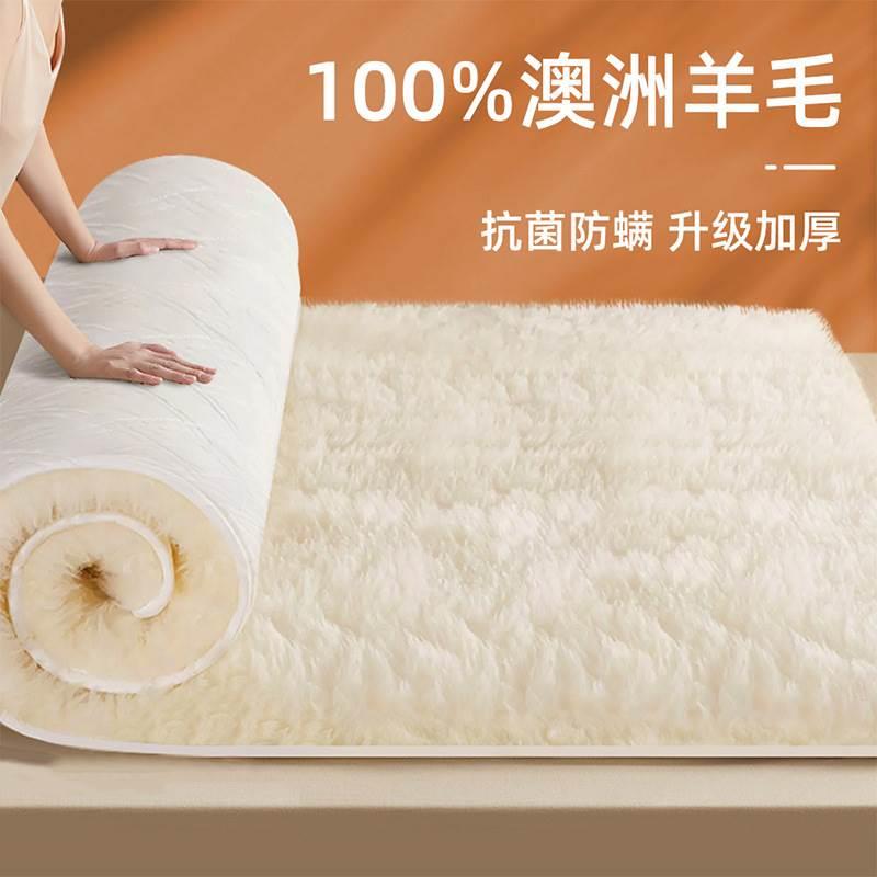 羊毛床垫冬季床褥子垫被加厚毛毯家用软垫褥垫单人冬天保暖羊羔绒