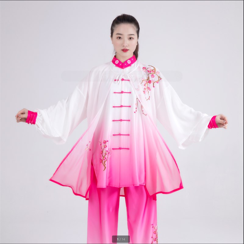 刺繡批紗太極服青花瓷團隊武術(shù)表演練功晨練演出服中老年太極拳服