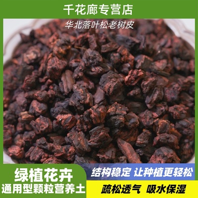 华北老树皮养兰花蝴蝶兰君子兰石斛兰文心兰通用颗粒植料营养土