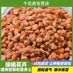火烧红土颗粒兰花蝴蝶兰君子兰多肉植料沥水保湿花卉营养土