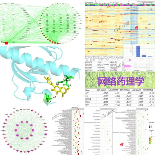 生信分析网络药理学生物学服务单细胞测序转录组TCGA/GEO数据挖掘