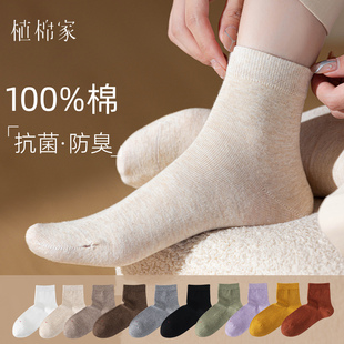纯棉袜子女短袜2025新款 防滑抗菌防臭无骨全棉春秋女士短筒袜 爆款