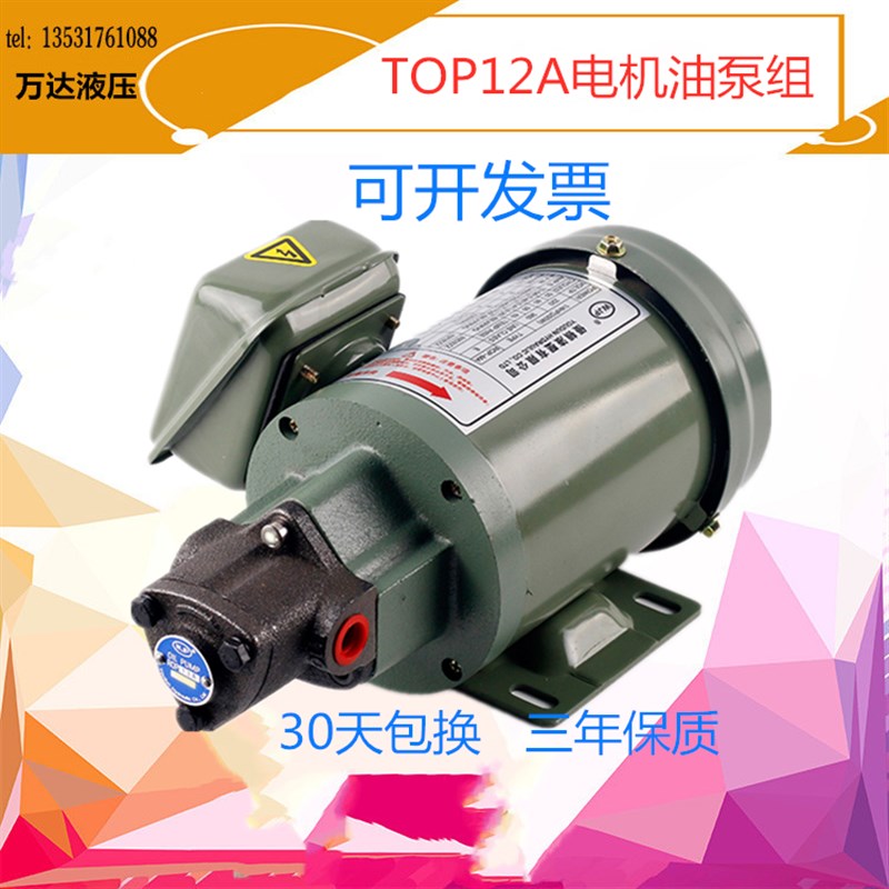 摆线泵top-12a大功力380V 电动机齿轮泵+联轴器+13A润滑泵头