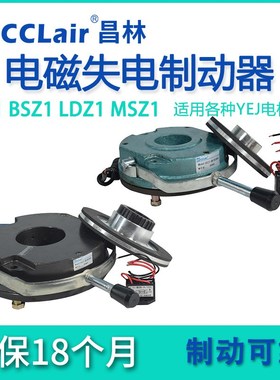 DSZ1 MSZ1失电BSZ1制动05器LDZ1-08 15 30 40 80 150 200 300 450