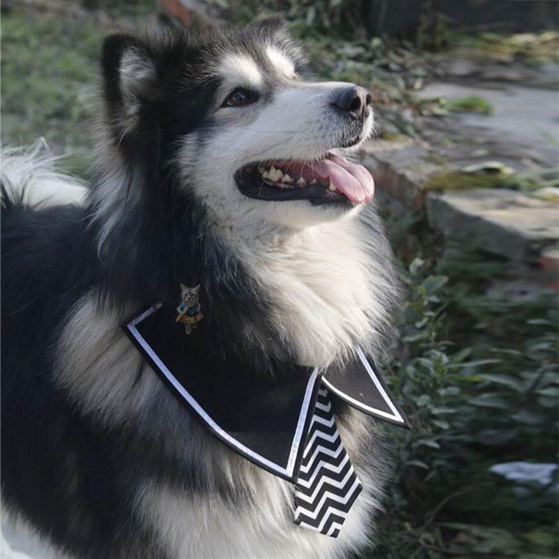 狗狗领结花蝴蝶结项圈大型犬领带围脖金毛萨摩宠物狗帅气配饰品夏