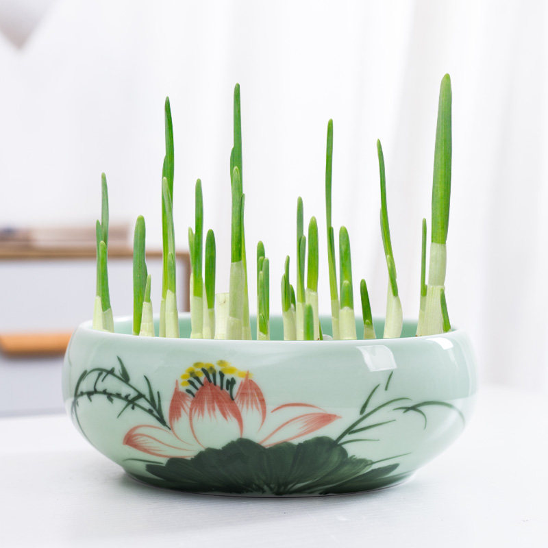 青瓷水仙花铜钱草水培花盆金钱草专用陶瓷大号清仓水养一叶莲碗莲,橡塑材料及制品,塑料盒/塑料箱/塑料柜,淘宝优惠券,粉丝福利购,淘宝优惠卷