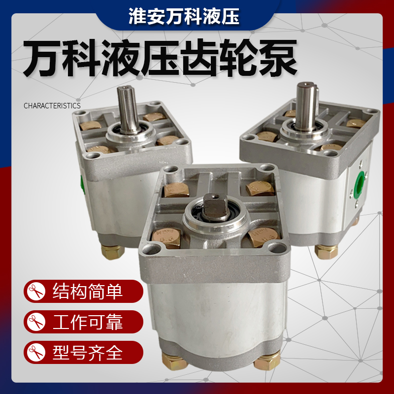 齿轮泵 液压油泵CBT-E310 E314 E306 E320 E325 E316淮安万科液压