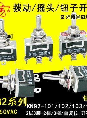 星宇KNG2-101- 102-103-123拨动钮子开关2脚3脚2档3挡自复位6A