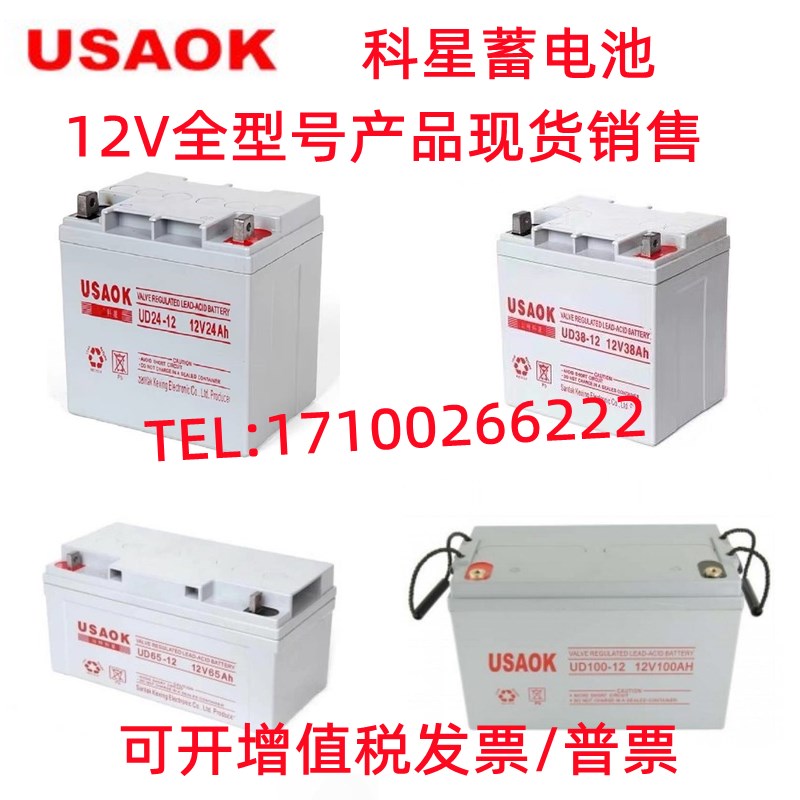 USAOK科星蓄电池 UD/12V24AH38AH65AH100AH120AH消防主机 UPS电源