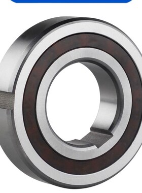 单向轴承CSK8/10/12/15/17/20/25/30/35/40PP带内外槽