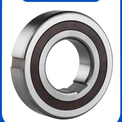 单向轴承CSK8/10/12/15/17/20/25/30/35/40PP带内外槽