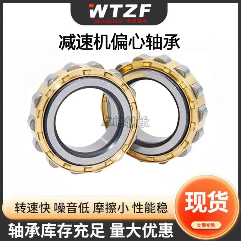 天马203减速机204偏心轴承RN205 206 219 222 228 307 309M312