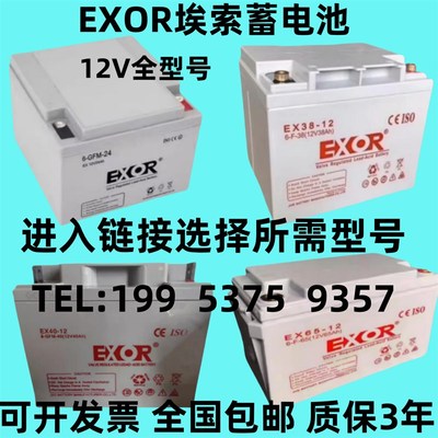 EXOR埃索蓄电池EX65-12V100AH7A12A17A24A38A55A65A120AH消防 UPS