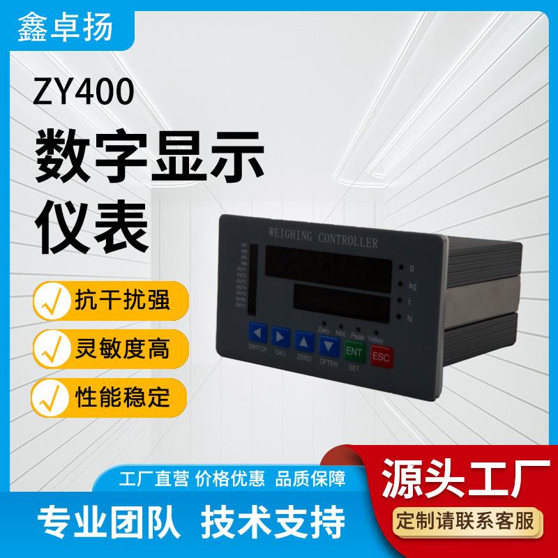 通用型智能工控系统测力仪表压力测试仪称重力值数字显示仪