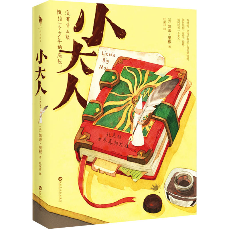【正版书】小大人英凯蒂里根白马时光出品小说百花洲文艺出版社