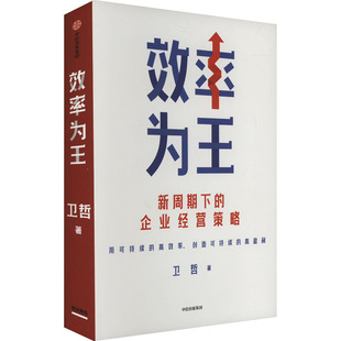 【保正版】效率为王卫哲中信出版社9787521773064