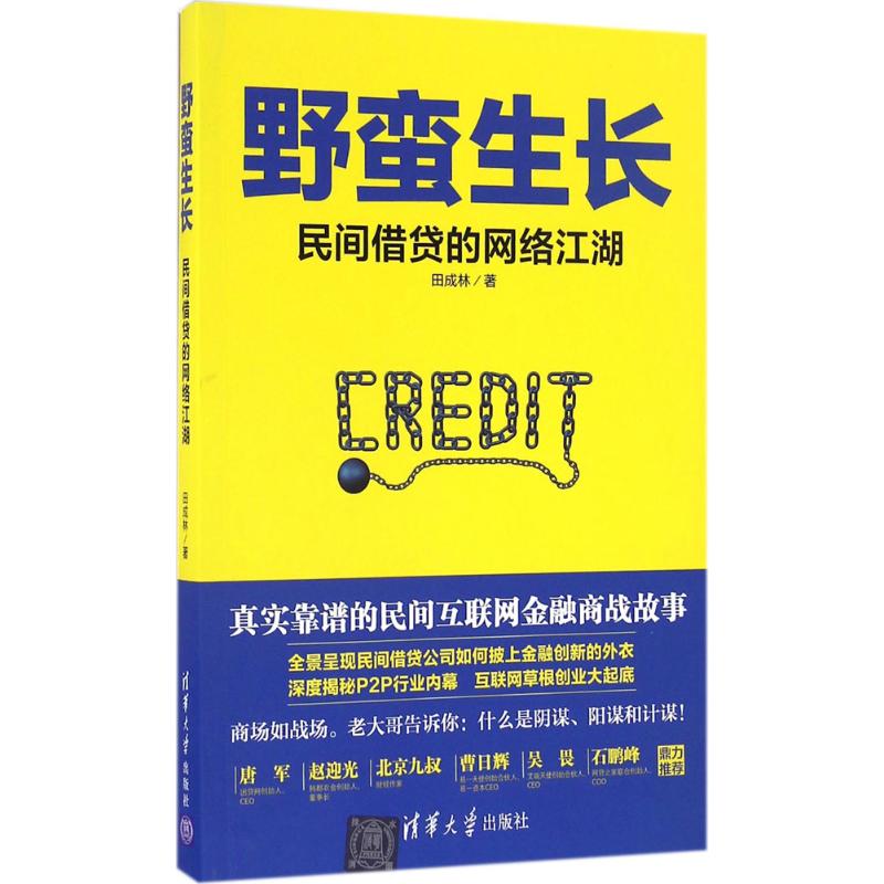 【正版图书】野蛮生长民间借贷的网络江湖田成林著清华大学出版社