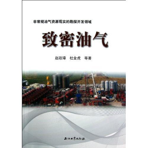 【正版书籍】规油气资源现实的勘探开发领域致密油气赵政璋杜金虎著石油工业出版社9787502193607