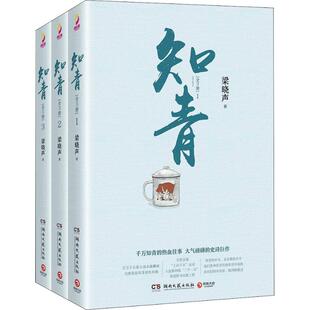 【保正版】知青梁晓声著湖南文艺出版社9787540483821